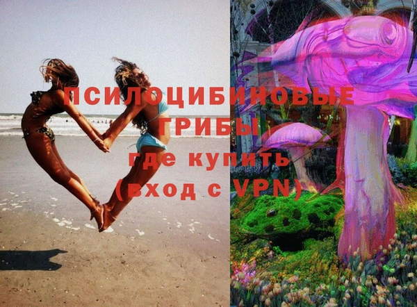 наркотики Белокуриха