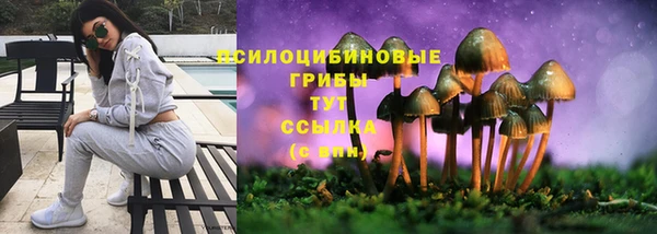 хмурый Белоозёрский