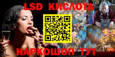 прущие грибы Можга