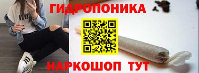 прущие грибы Можга