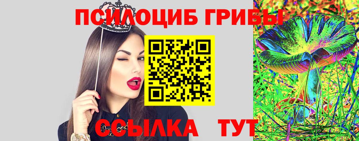 Псилоцибиновые грибы мицелий Гатчина
